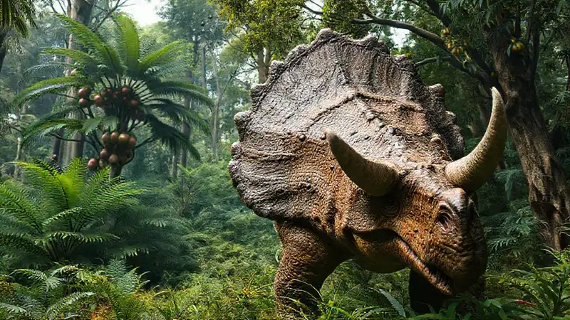 Hier ist die Antwort:Triceratops in üppigem