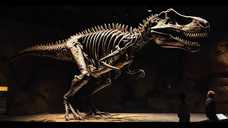 Der T-Rex-Skelett erstrahlt im Museum